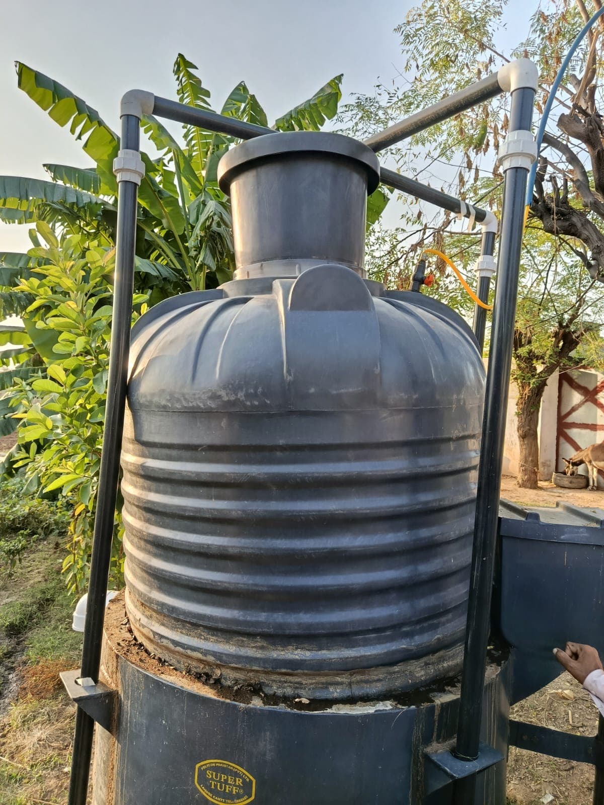 An installed digester standing among banana and fruit trees